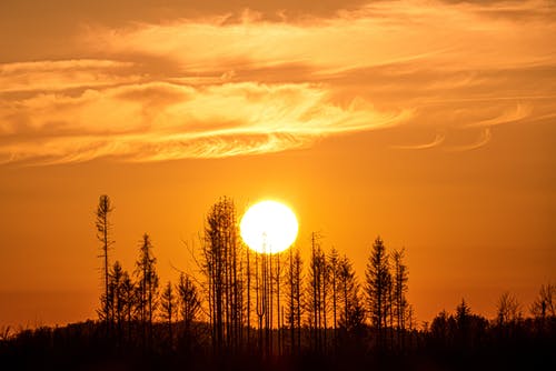 有关剪影, 壮观, 天性的免费素材图片