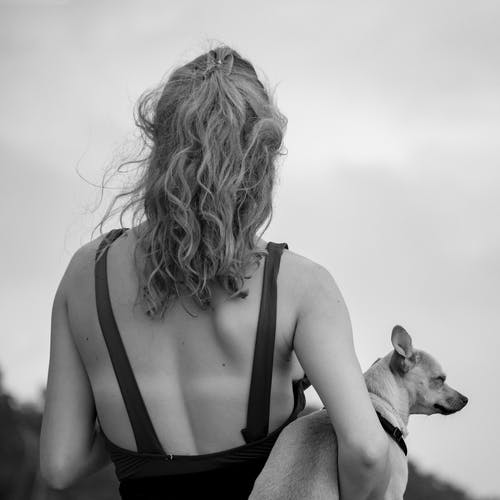 有关女人, 宠物, 後视图的免费素材图片