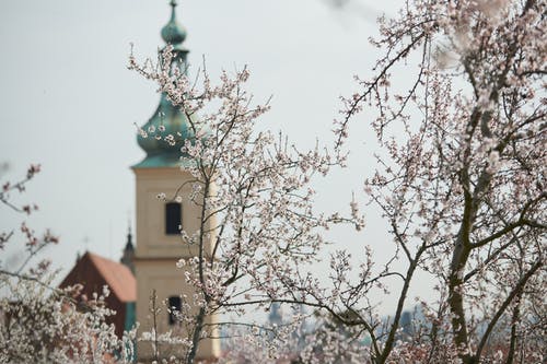 有关布拉格, 户外, 捷克共和国的免费素材图片