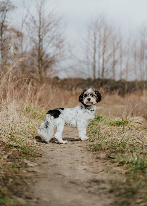 有关全景, 可爱, 可爱的的免费素材图片