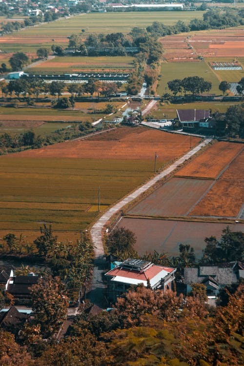 有关住, 住宅, 农艺学的免费素材图片