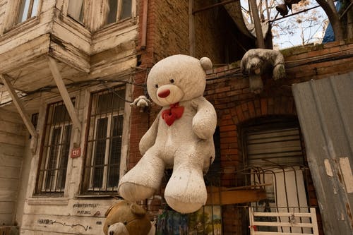 有关上吊, 填充玩具, 户外的免费素材图片