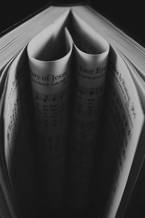 有关作文, 元素, 创作的的免费素材图片