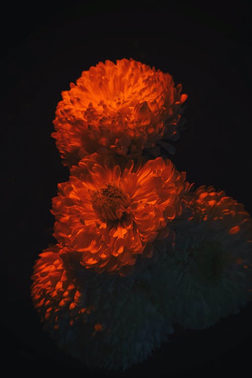 有关一串, 光, 创作的的免费素材图片