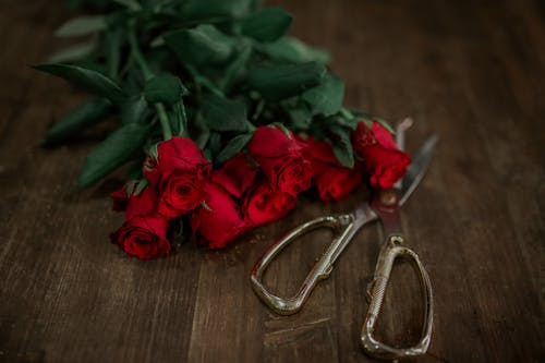 有关一串, 光, 公寓的免费素材图片