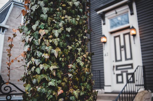 有关不動產, 住, 住宅的免费素材图片