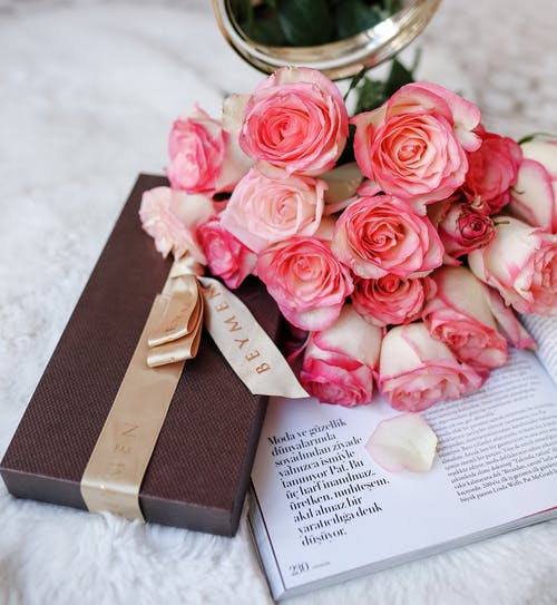 有关植物群, 特写镜头, 绽放的免费素材图片