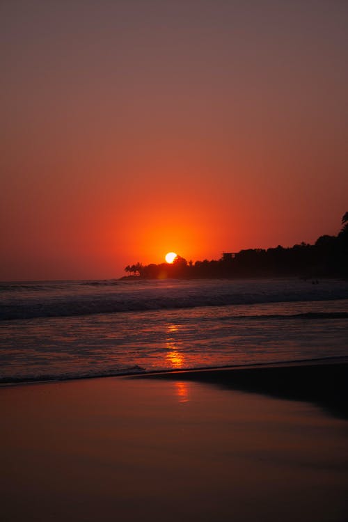 有关剪影, 垂直拍摄, 太阳的免费素材图片