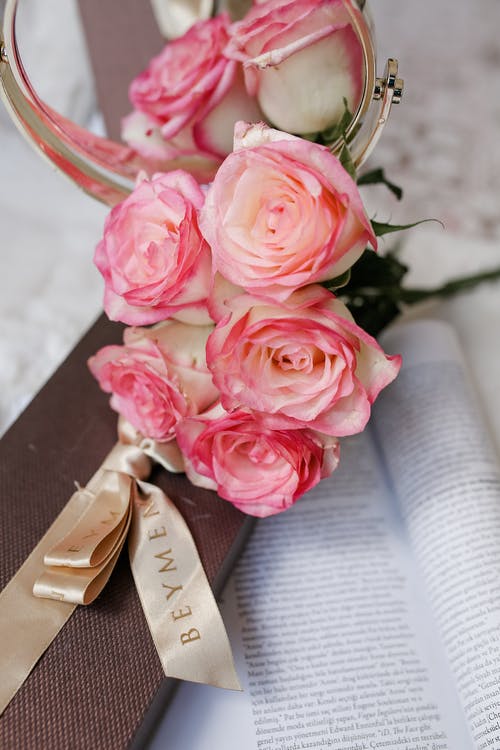 有关垂直拍摄, 植物群, 特写镜头的免费素材图片