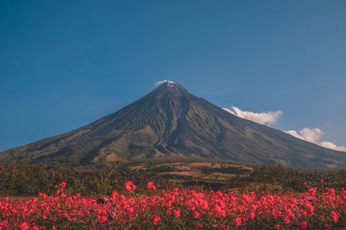 有关天性, 户外, 景观的免费素材图片