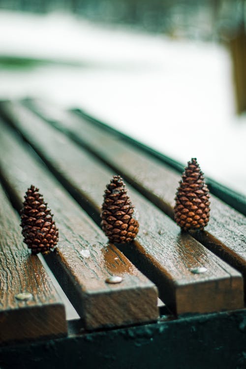 有关垂直拍摄, 景深, 木板的免费素材图片