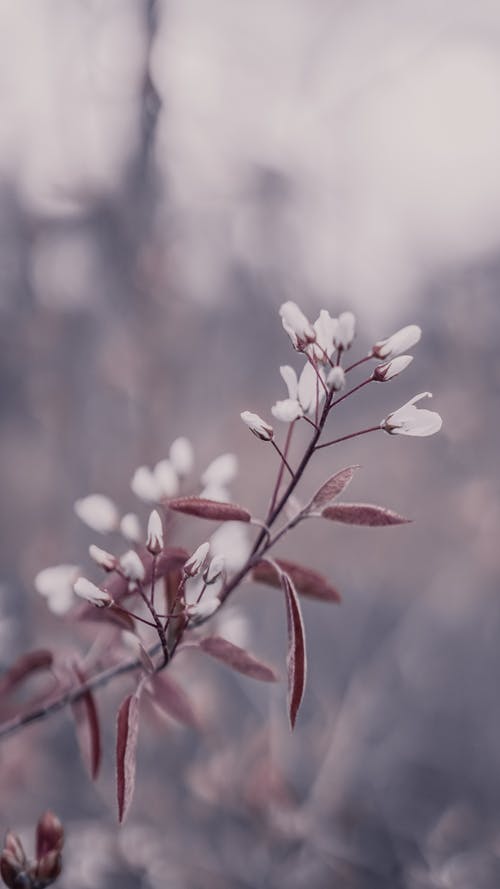 有关垂直拍摄, 增长, 工厂的免费素材图片