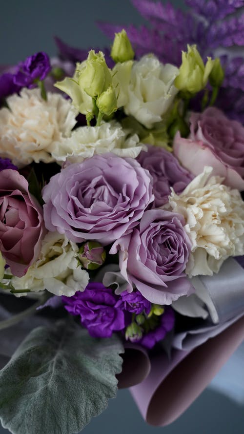 有关什锦的, 作文, 创作的的免费素材图片