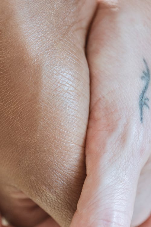 有关一起, 不露面, 人的免费素材图片