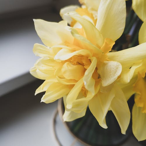 有关一串, 光, 公寓的免费素材图片