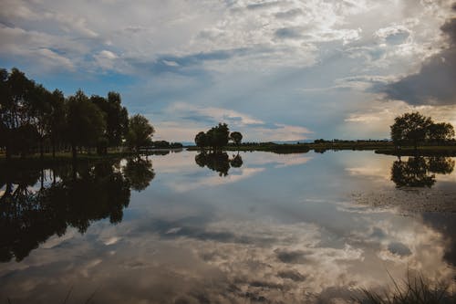 有关天性, 树木, 水反射的免费素材图片