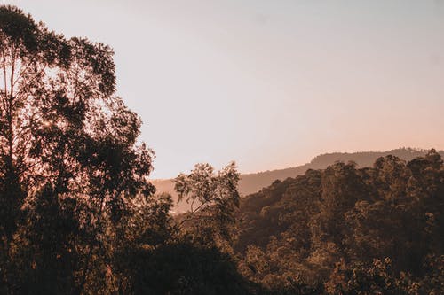 有关Copyspace, 不变, 不均匀的的免费素材图片