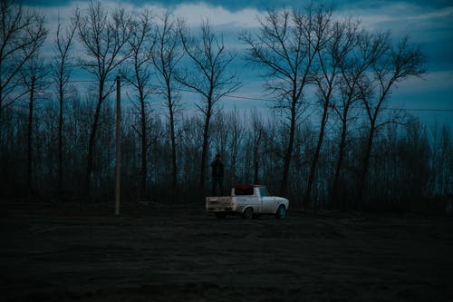 有关停, 樹木, 泥路的免费素材图片