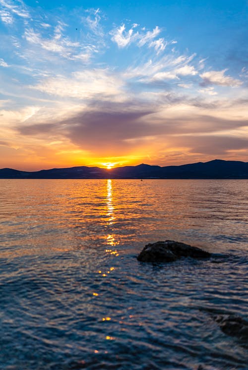 有关垂直拍摄, 天性, 日出的免费素材图片