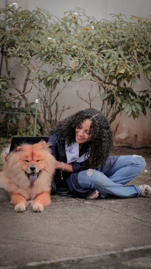 有关坐, 垂直拍摄, 宠物的免费素材图片