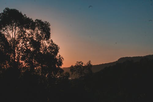 有关Copyspace, 不变, 不均匀的的免费素材图片