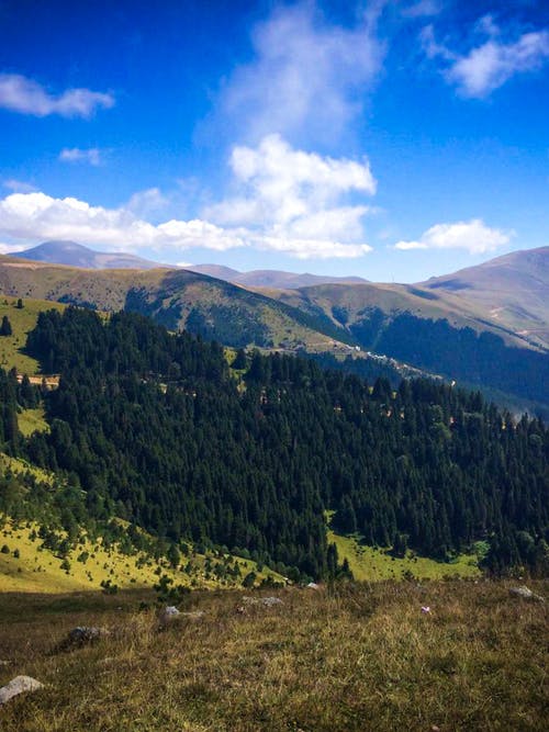有关垂直拍摄, 天性, 山的免费素材图片