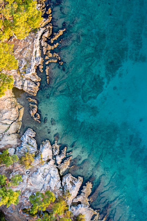 有关俯视图, 垂直拍摄, 天性的免费素材图片