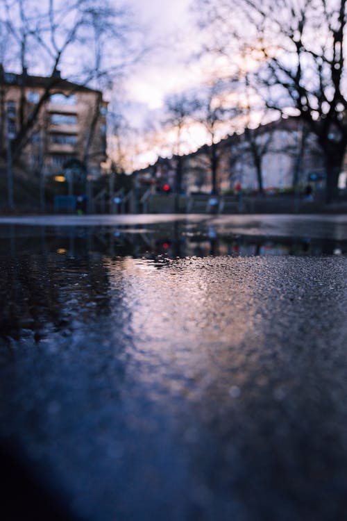 有关低角度拍摄, 后雨, 垂直拍摄的免费素材图片