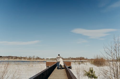 有关一对, 一起, 人的免费素材图片