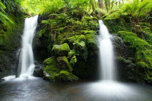 有关岩石形成, 户外, 森林的免费素材图片