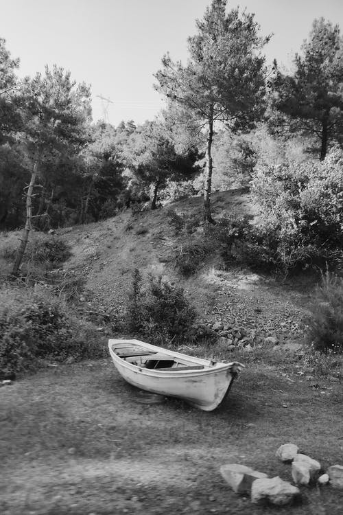 有关bw, 冷静, 原本的免费素材图片