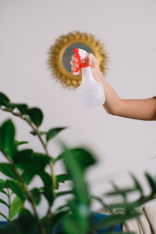 有关不露面, 人, 休闲的免费素材图片