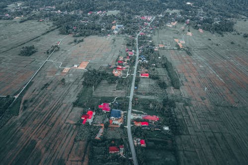 有关住, 住宅, 农艺学的免费素材图片