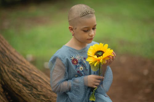 有关儿童, 公园, 剃光头的免费素材图片