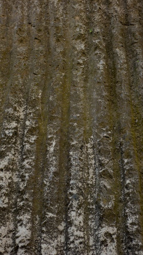 有关Copyspace, 不均匀的, 乾的的免费素材图片