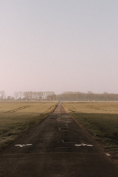 有关Copyspace, 下落, 乾的的免费素材图片