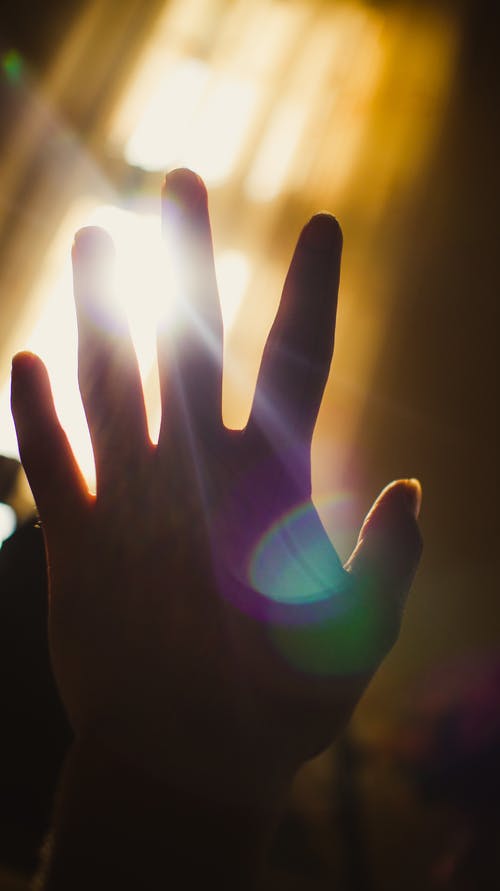 有关垂直拍摄, 手, 特写镜头的免费素材图片