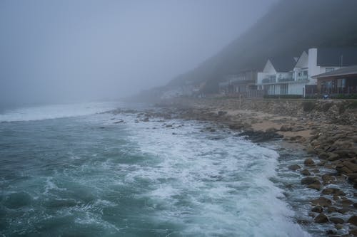有关天性, 岩石海岸, 有雾的的免费素材图片
