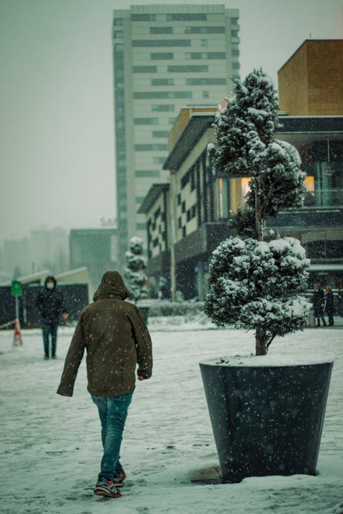 有关冬季, 垂直拍摄, 城市的免费素材图片