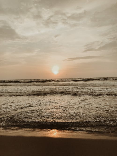 有关垂直拍摄, 天性, 太阳的免费素材图片