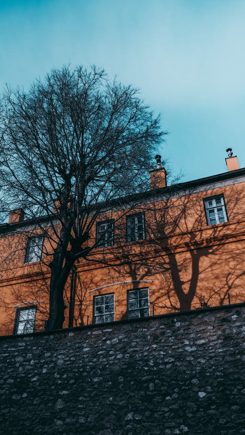 有关不動產, 乾的, 从下面的免费素材图片