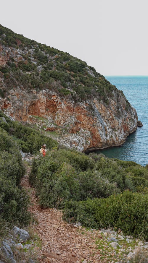 有关Copyspace, 不均匀的, 乾的的免费素材图片