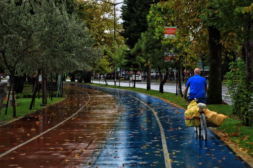 有关人, 後视图, 树木的免费素材图片
