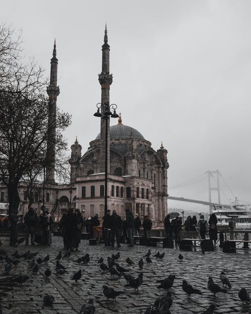 有关伊斯坦堡, 公园, 土耳其的免费素材图片