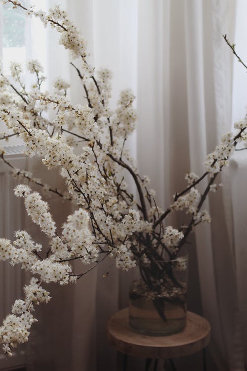 有关冷靜, 凳子, 分公司的免费素材图片