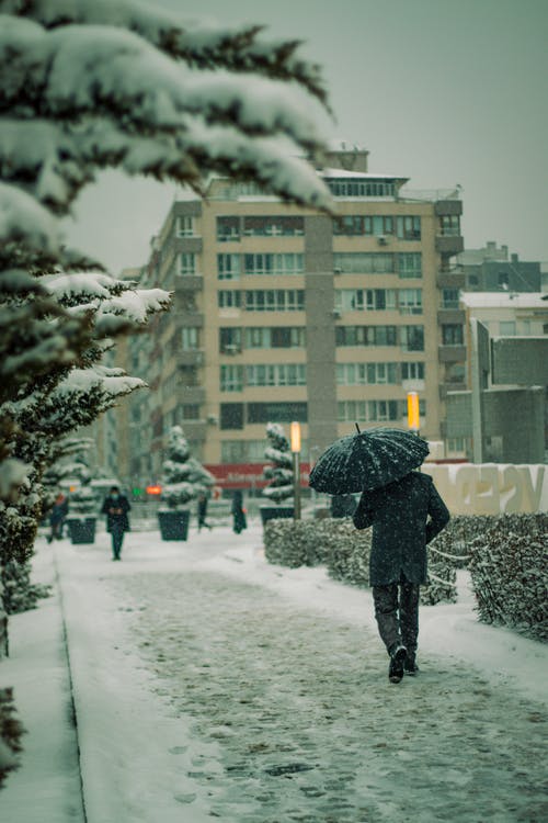 有关冬季, 垂直拍摄, 城市的免费素材图片