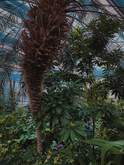 有关什锦的, 各种, 和谐的免费素材图片