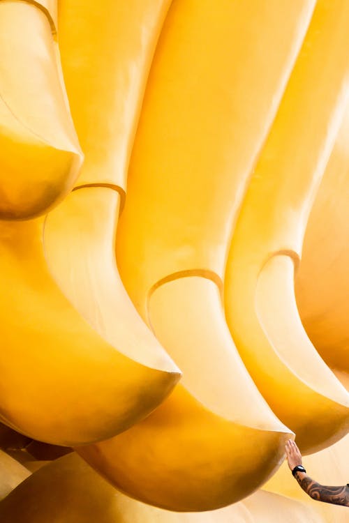 有关上帝, 不露面, 东南亚的免费素材图片