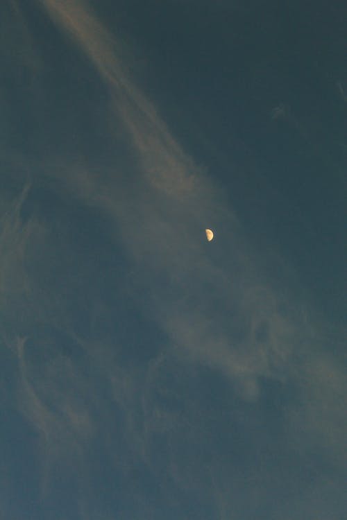 有关从下面, 光, 全画幅的免费素材图片