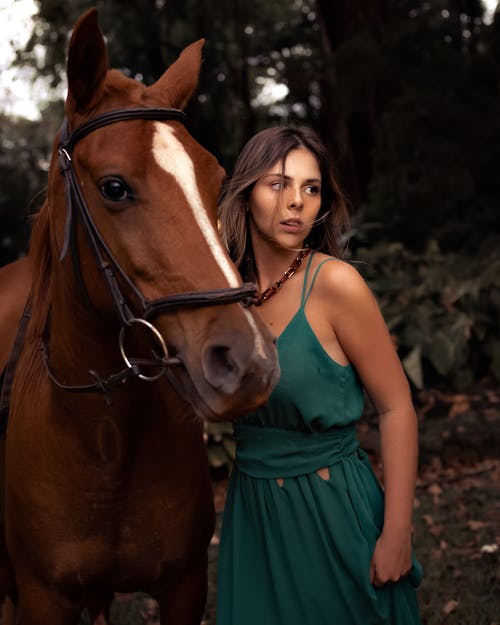 有关人, 动物, 垂直拍摄的免费素材图片